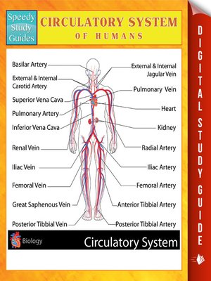 cover image of Circulatory System of Humans